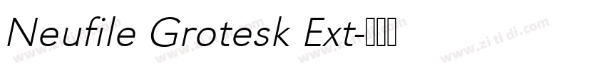 Neufile Grotesk Ext字体转换